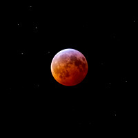 Super Blood Wolf Moon Lunar Eclipse